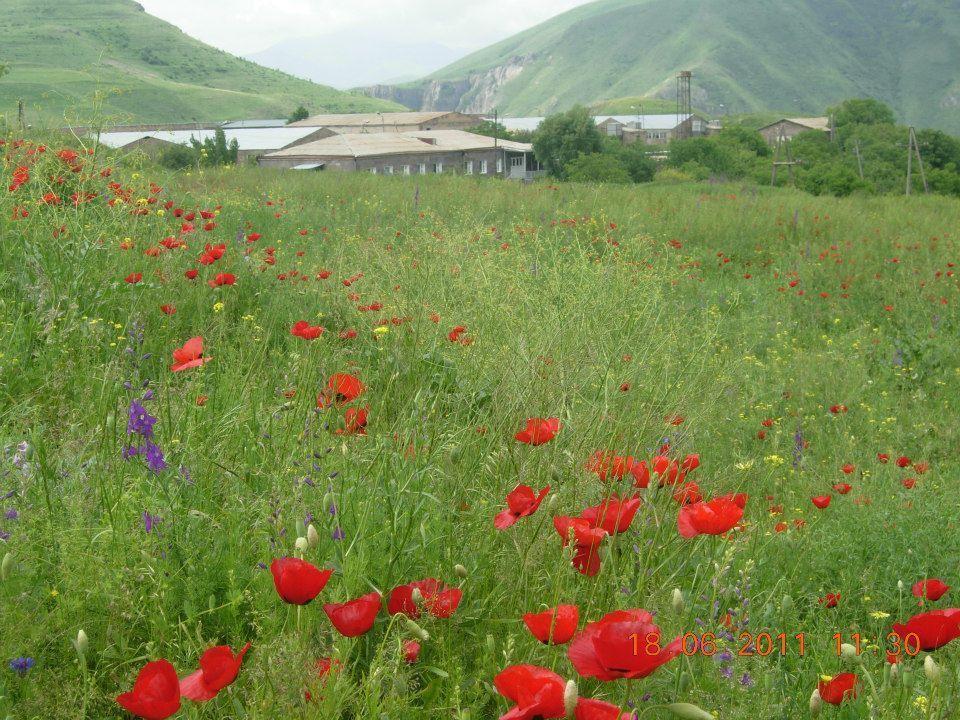 Azoyan Holiday Resort Sisian Buitenkant foto