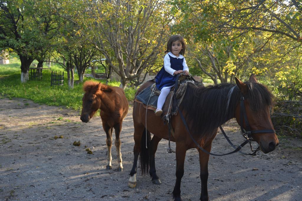 Azoyan Holiday Resort Sisian Buitenkant foto