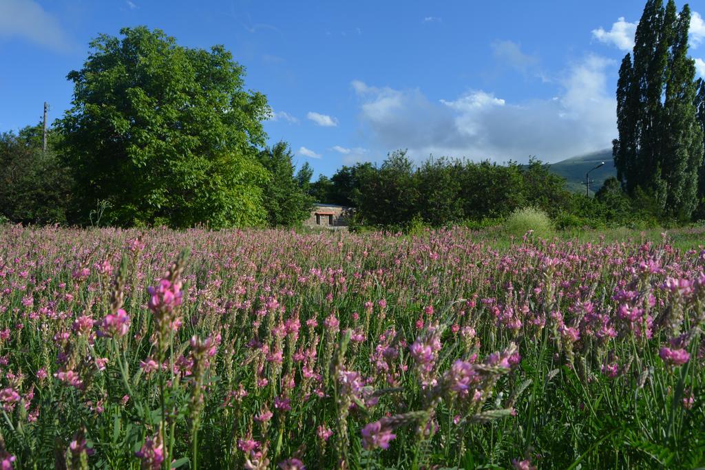 Azoyan Holiday Resort Sisian Buitenkant foto